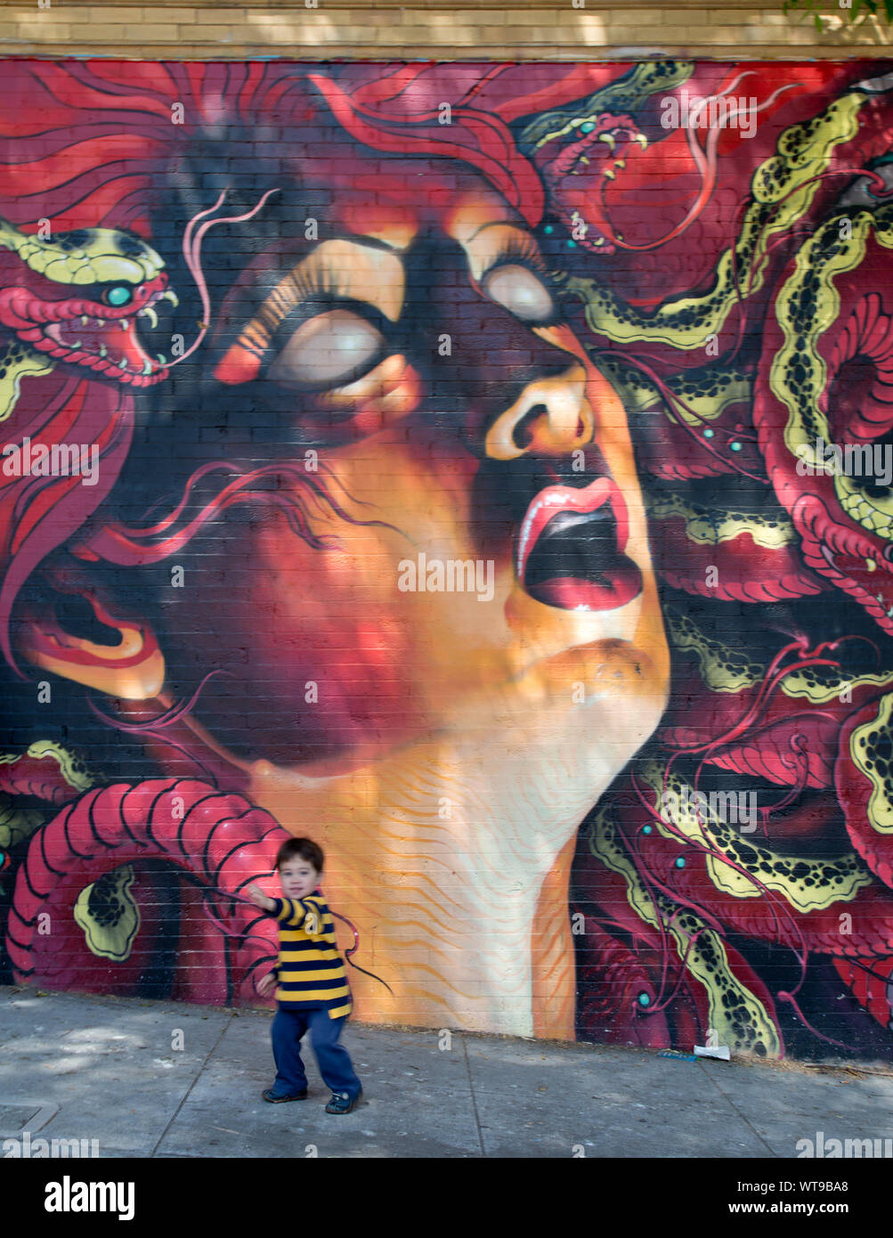 Medusa murale di Lango nel quartiere di Haight-Ashbury, San Francisco, California Foto Stock
