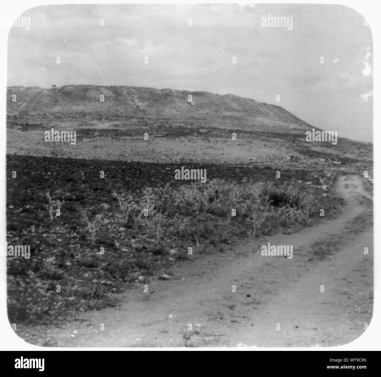 Meghiddo, Dillo ad Mutesellim Foto Stock