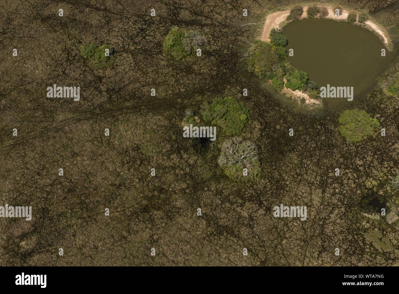 Vista aerea di un lago sul Pantanal brasiliano zone umide Foto Stock