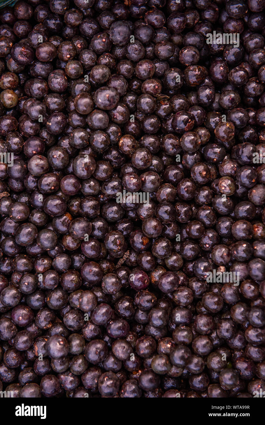 Bacche di Acai Foto Stock