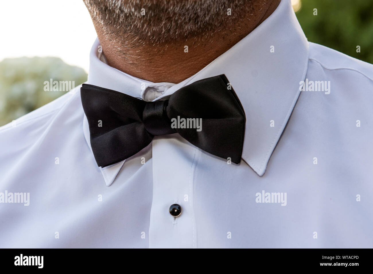Nero farfallino è l'ultima voce di apparrel che lo sposo mette sulla sua tuxedo prima della grande cerimonia. Foto Stock
