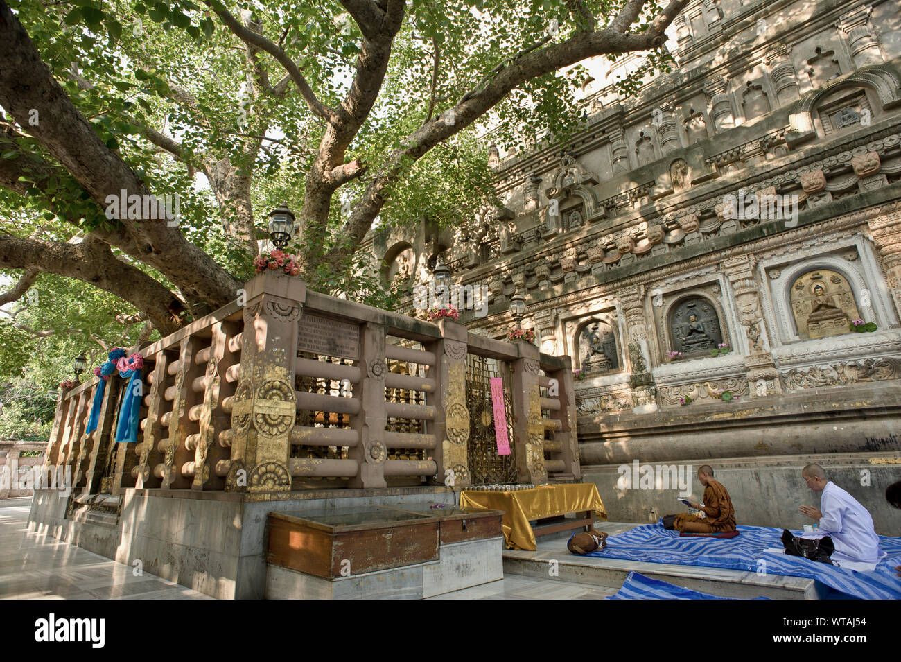 Adora i monaci intorno Bodhi Tree, Buddha illuminismo del luogo Foto Stock