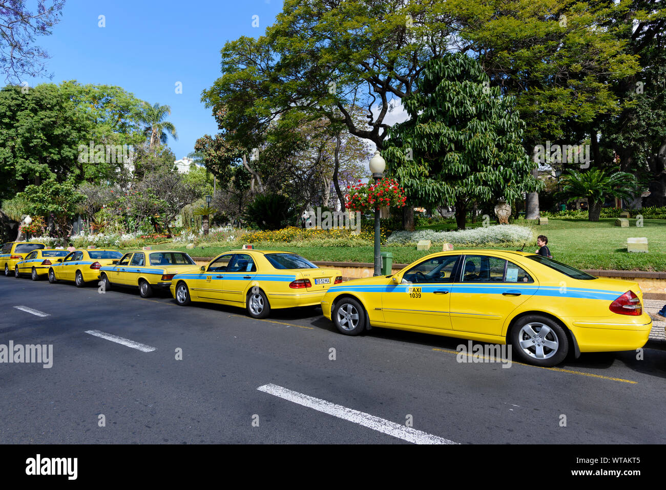 Una lunga linea di giallo taxi Foto Stock