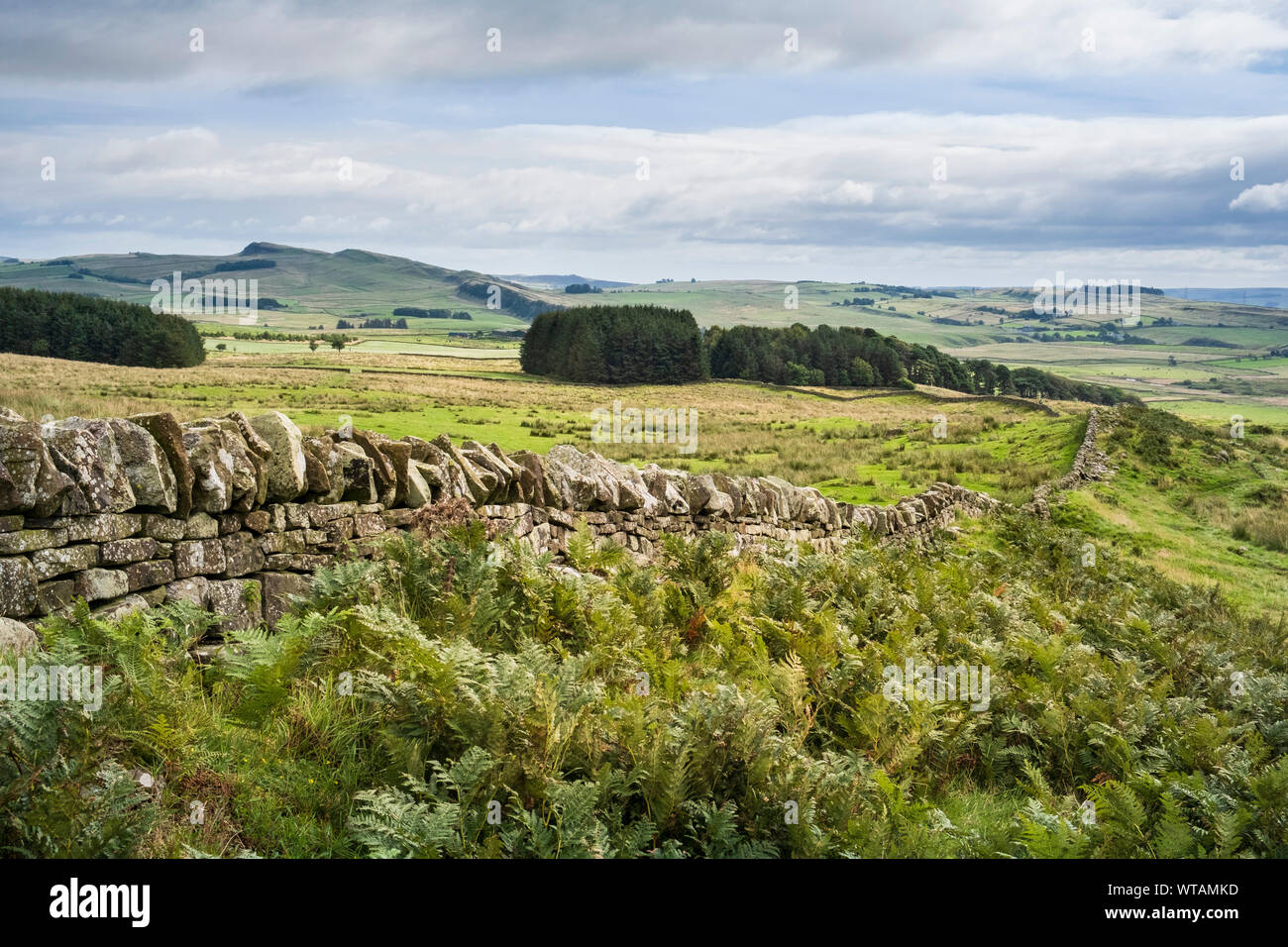 Campagna Northumberland in inglese sul confine con la linea del Vallo di Adriano a lunga distanza trail Foto Stock