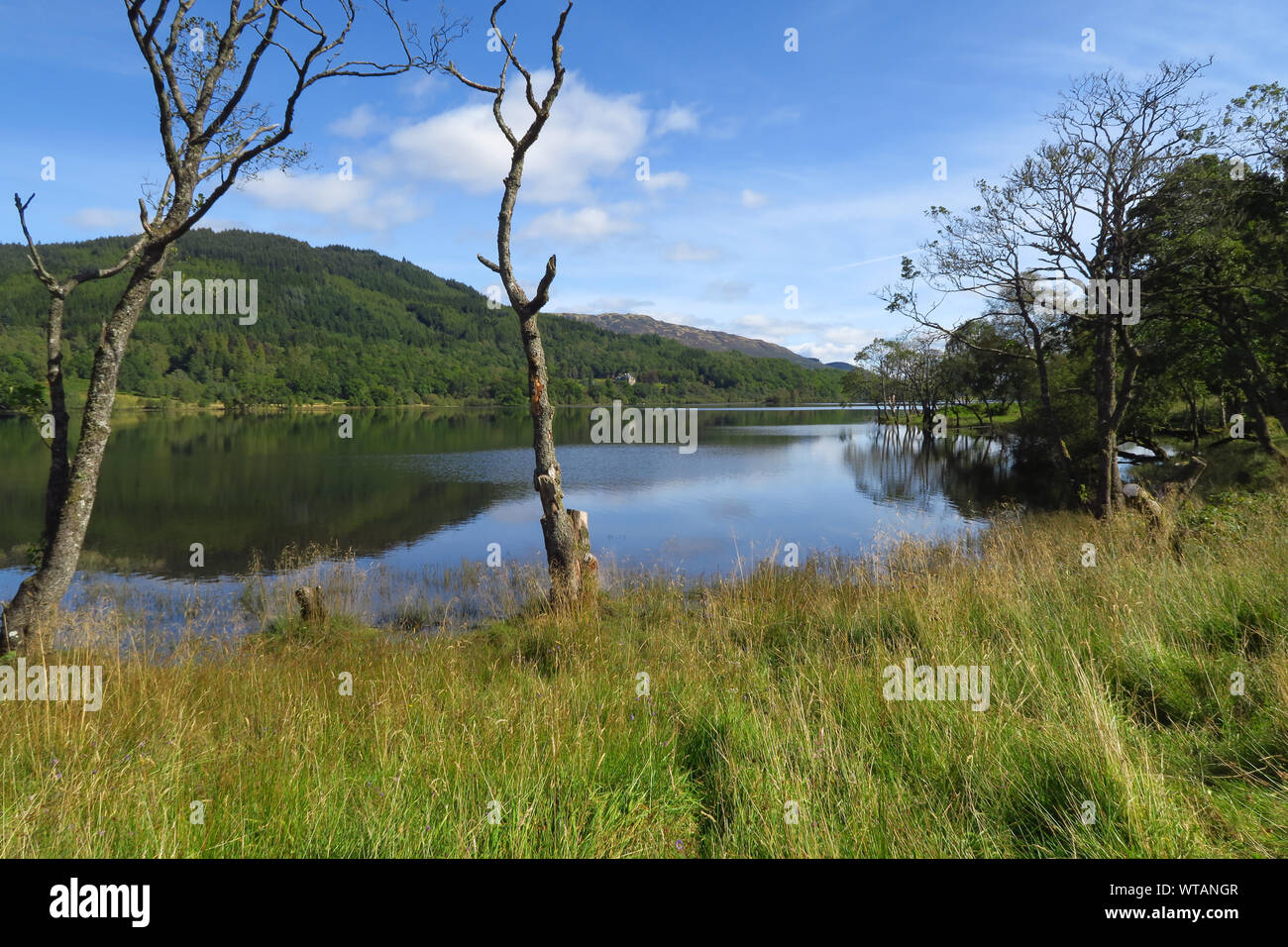 Loch Achray in Loch Lomond e il Trossachs National Park in prossimità del Perthshire città di Aberfoyle Foto Stock