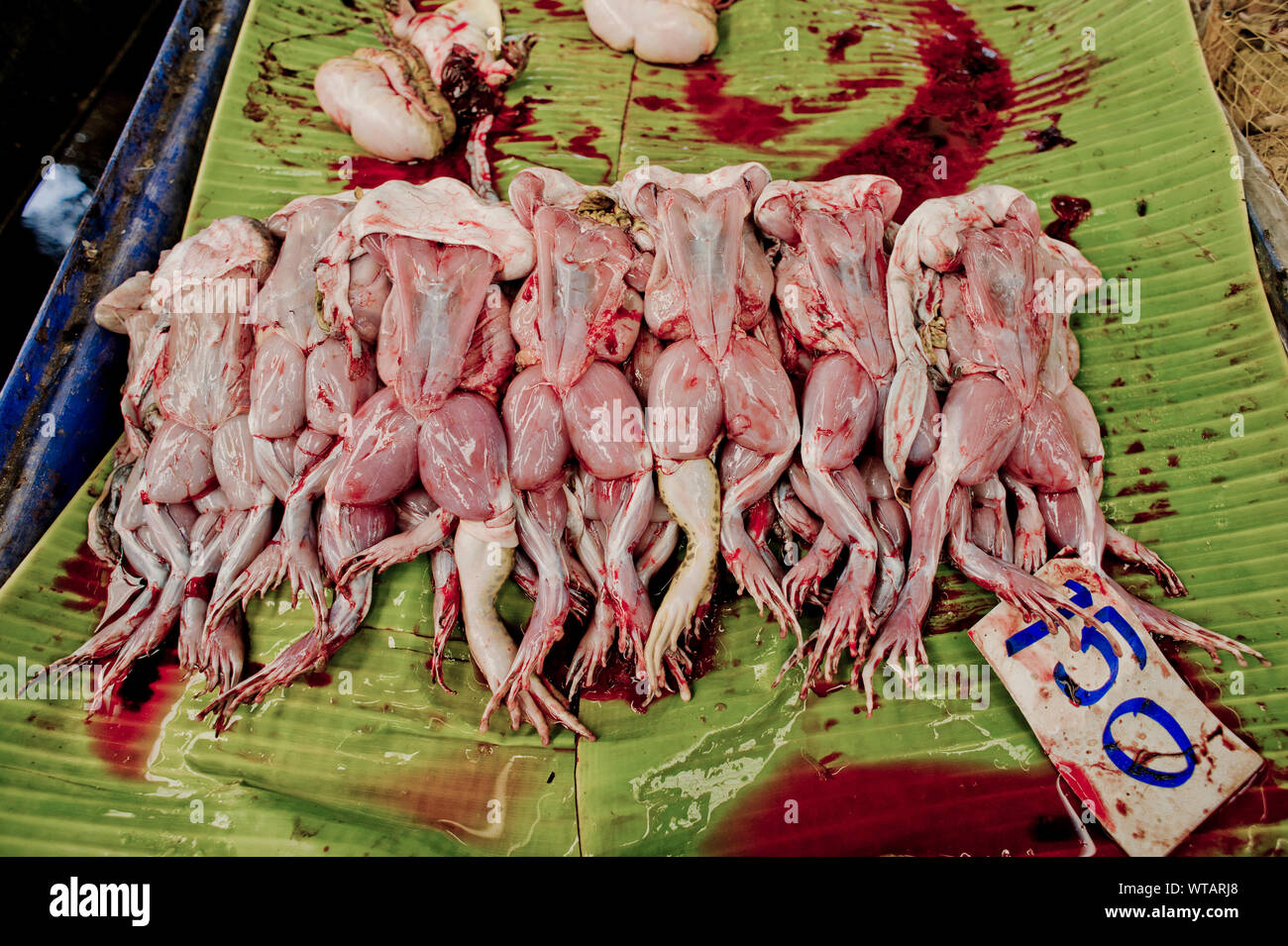 La carne di rana in vendita in un asiatico street market Foto Stock
