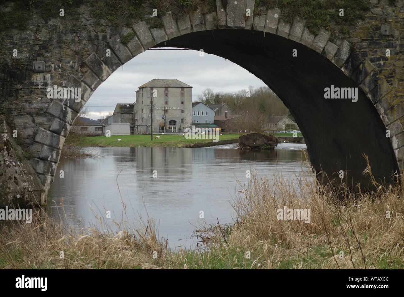 Nicholas Mosse ceramica in Kilkenny, Irlanda - Vista attraverso un arco di Bennett's Bridge * Nicholas Mosse Töpferei Foto Stock