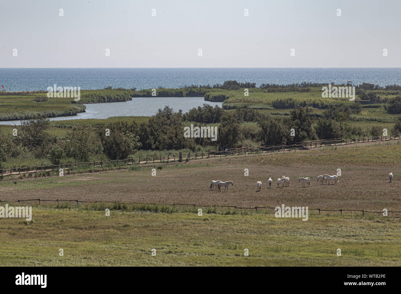 Verde foresta costiera paesaggio in Costa Brava, Mare Mediterraneo Foto Stock