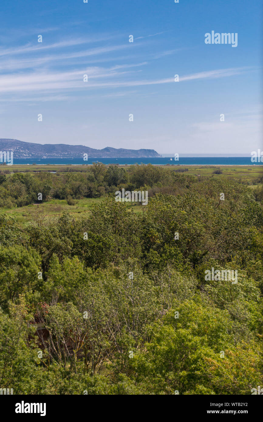 Verde foresta costiera paesaggio in Costa Brava, Mare Mediterraneo Foto Stock