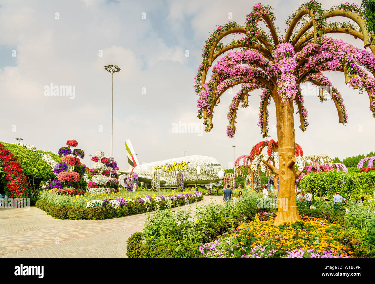 Dubai, UAE, Dicembre 22, 2018: miracolo Garden è una delle principali attrazioni turistiche in Dubai EMIRATI ARABI UNITI Foto Stock