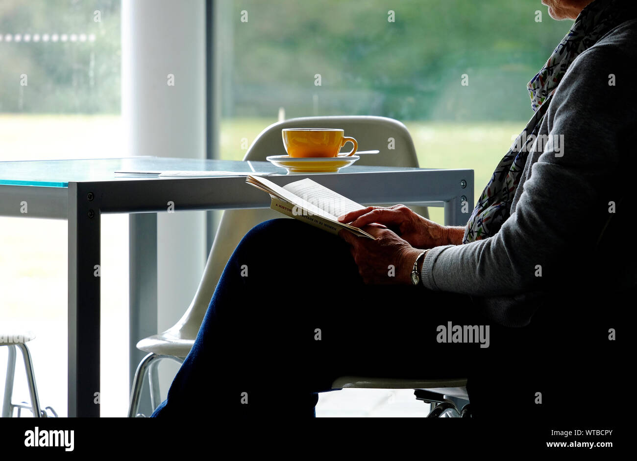 Senior persona libro di lettura in cafe, Norfolk, Inghilterra Foto Stock