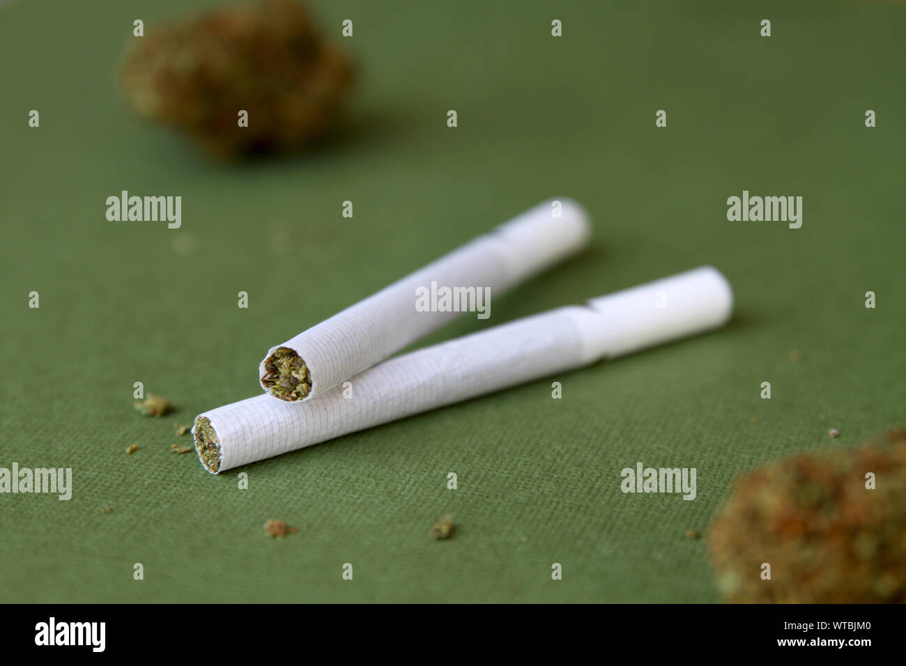 La marijuana Pre-Roll sigarette su sfondo verde Foto Stock