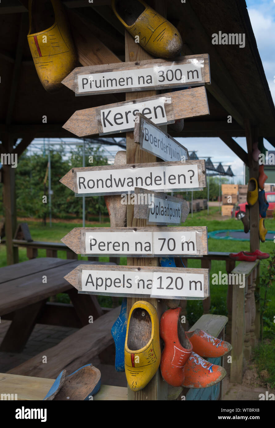 Gli indicatori di direzione di mostrare ai visitatori il modo per i frutteti di mele e di pere a livello nazionale olandese di Apple il giorno di raccolta Foto Stock