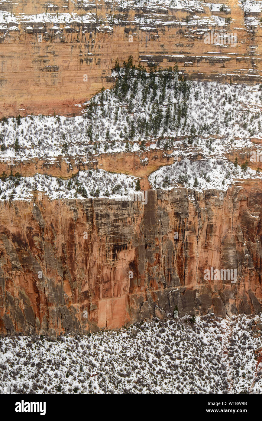 Snow-spolverata South Rim mura dal punto di Mohave, il Parco Nazionale del Grand Canyon, Arizona, Stati Uniti d'America Foto Stock