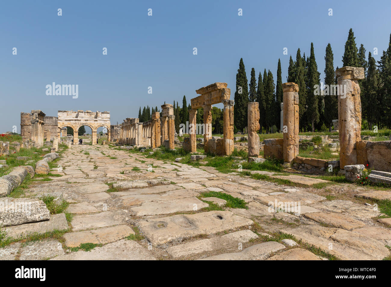 Vecchie colonne ans auto cresciuto cucciolo fiori in area agora Hierapolis Pamukkale Turchia frontino gate - Porta di Domiziano Foto Stock