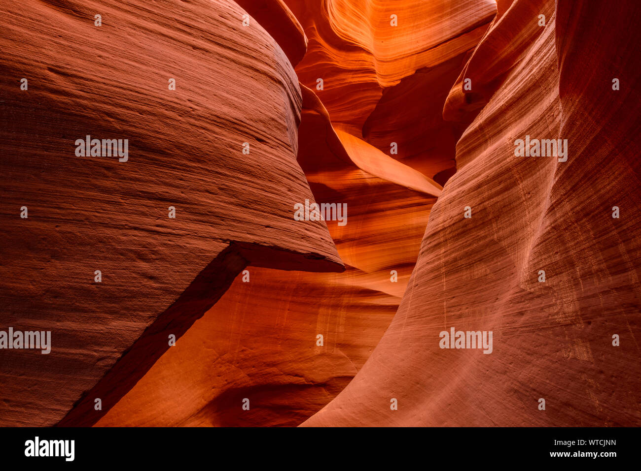 Erosi Navajo di arenaria nella parte inferiore Antelope Canyon, Pagina, Arizona, Stati Uniti d'America Foto Stock