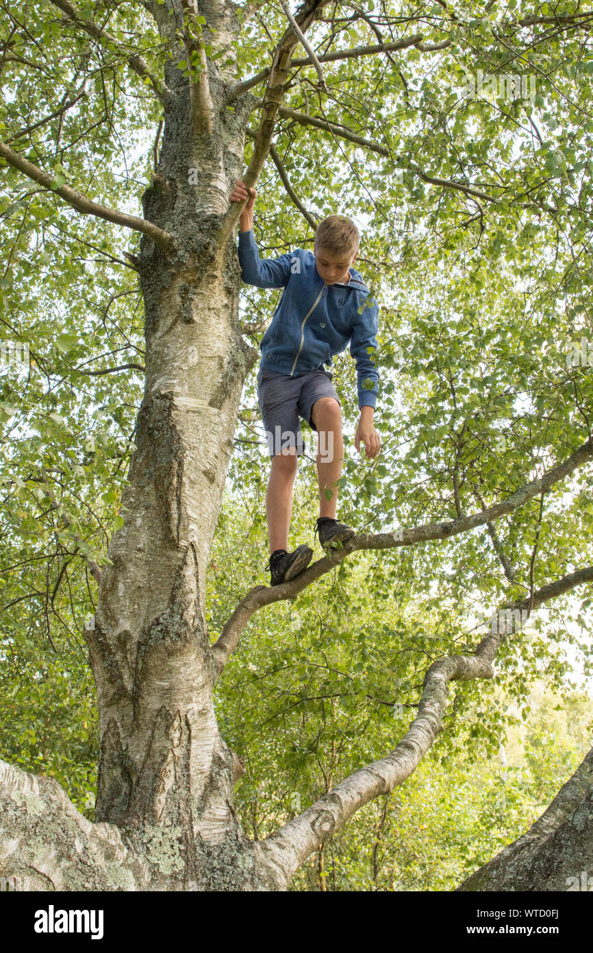 Ragazzo adolescente di arrampicarsi su un albero in alto i suoi rami Foto  stock - Alamy