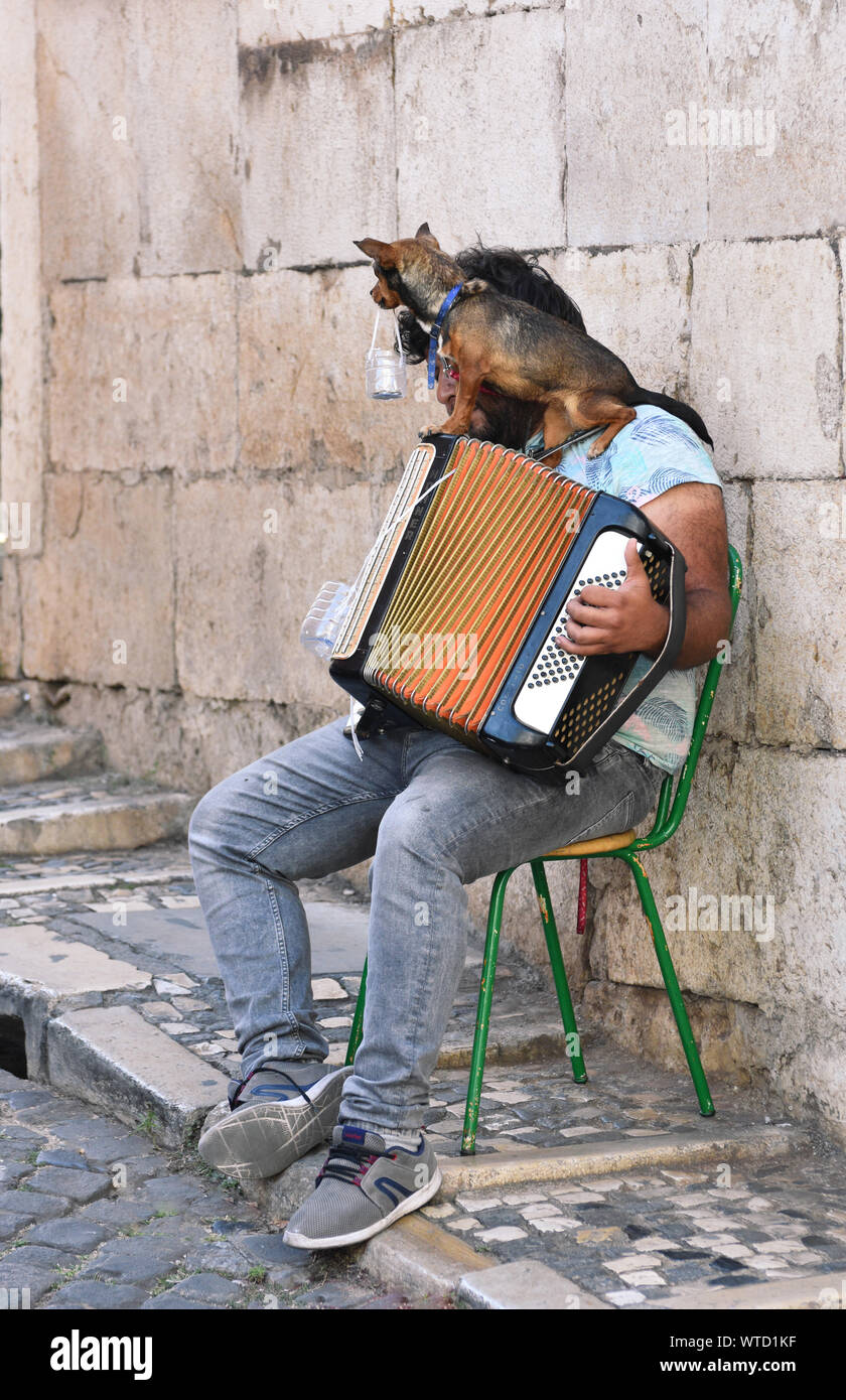Un lettore di fisarmonica musicista di strada in Alfama, Lisbona, Portogallo con un po' di cane sulla sua spalla tenendo il vasetto di denaro per i suggerimenti nella sua bocca Foto Stock