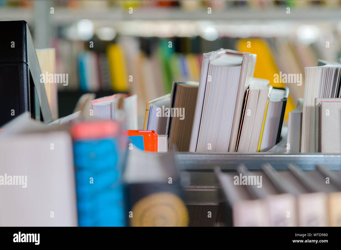Libri in uno scaffale nella libreria. Selezione di letteratura, la preparazione per gli esami Foto Stock