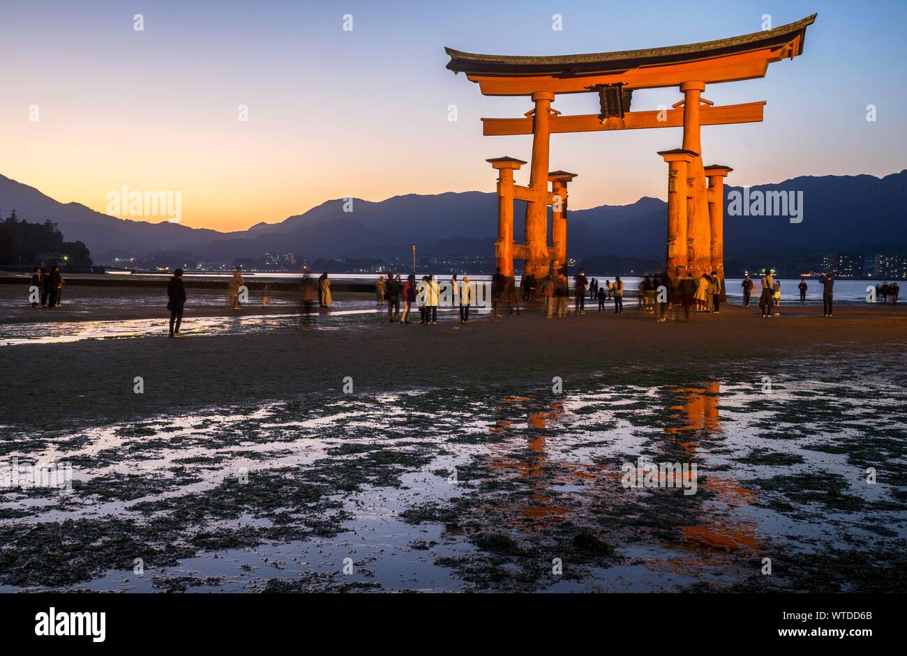 Il tempio di Itsukushima, Torii Gate a bassa marea al tramonto, Miyajima, Giappone Foto Stock