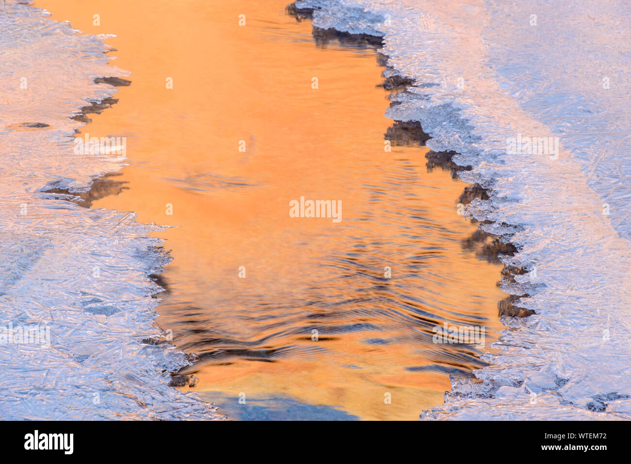 Formazioni di ghiaccio lungo il fiume di pino con Canyon Zion riflessioni di parete in acque aperte, Parco Nazionale Zion, Utah, Stati Uniti d'America Foto Stock