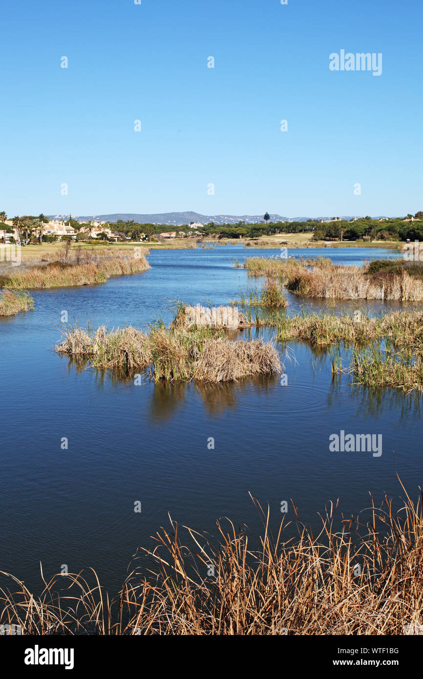 Laguna dalla Quinta do Lago Campo da Golf della Ria Formosa Parco Nazionale di Algarve Portogallo Foto Stock