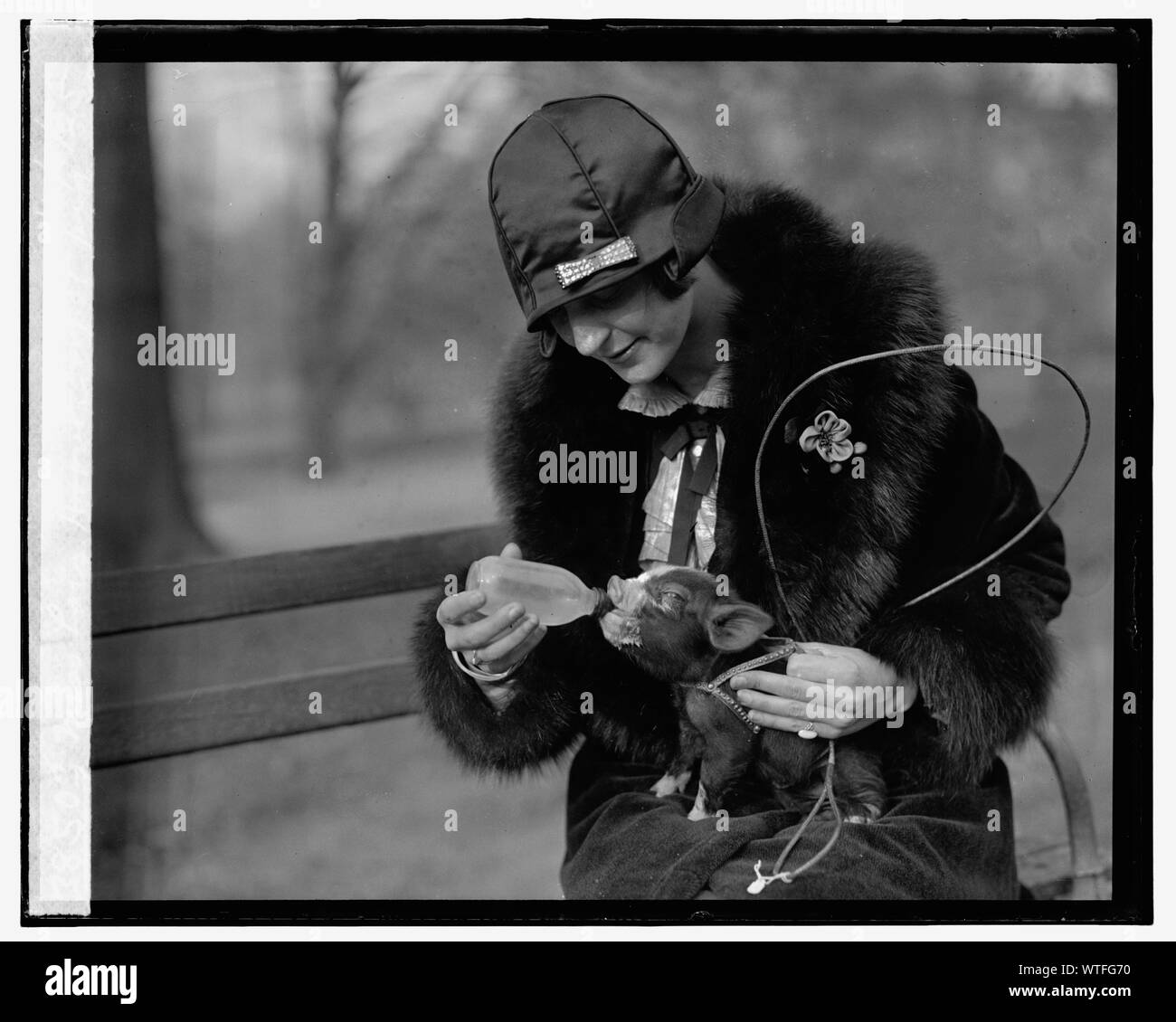 Miss Lois Hoover & pet pig, 12/1/25 Foto Stock