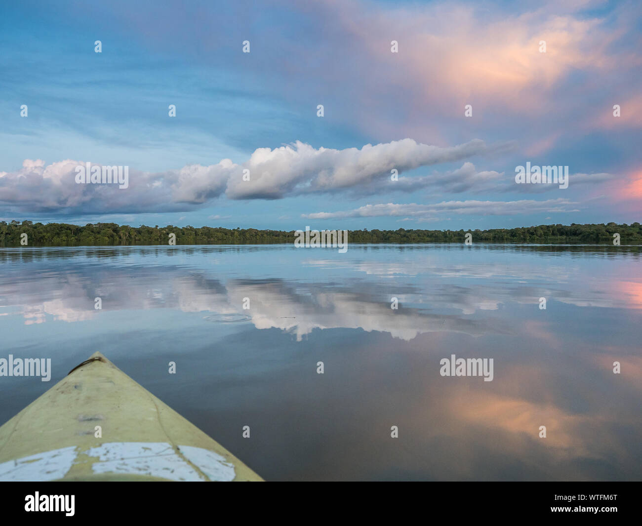 Amazonia. Vista tramonto visto dal kayak. Coati laguna vicino il fiume Javari, tributario del fiume Rio delle Amazzoni. Selva sul confine del Brasile e pe Foto Stock
