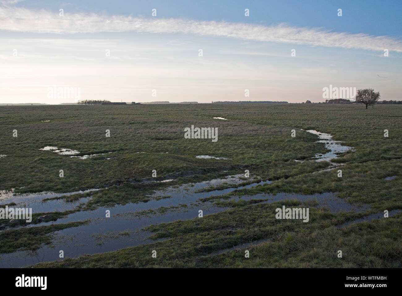 Erbose pianure puszta di Hortobagy National Park a nord di Hortobagyi-halasto dopo forti piogge in Ungheria Foto Stock