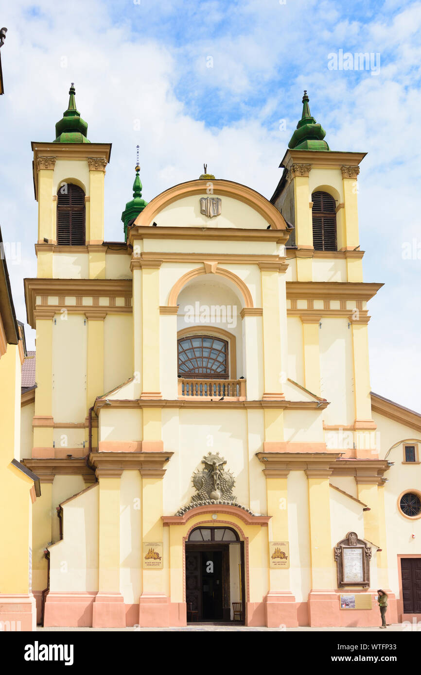 Ivano-Frankivsk: Precarpathian Art Museum (ex chiesa parrocchiale di Maria Vergine), Piazza Sheptytsky in , Ivano-Frankivsk, Oblast di Ucraina Foto Stock