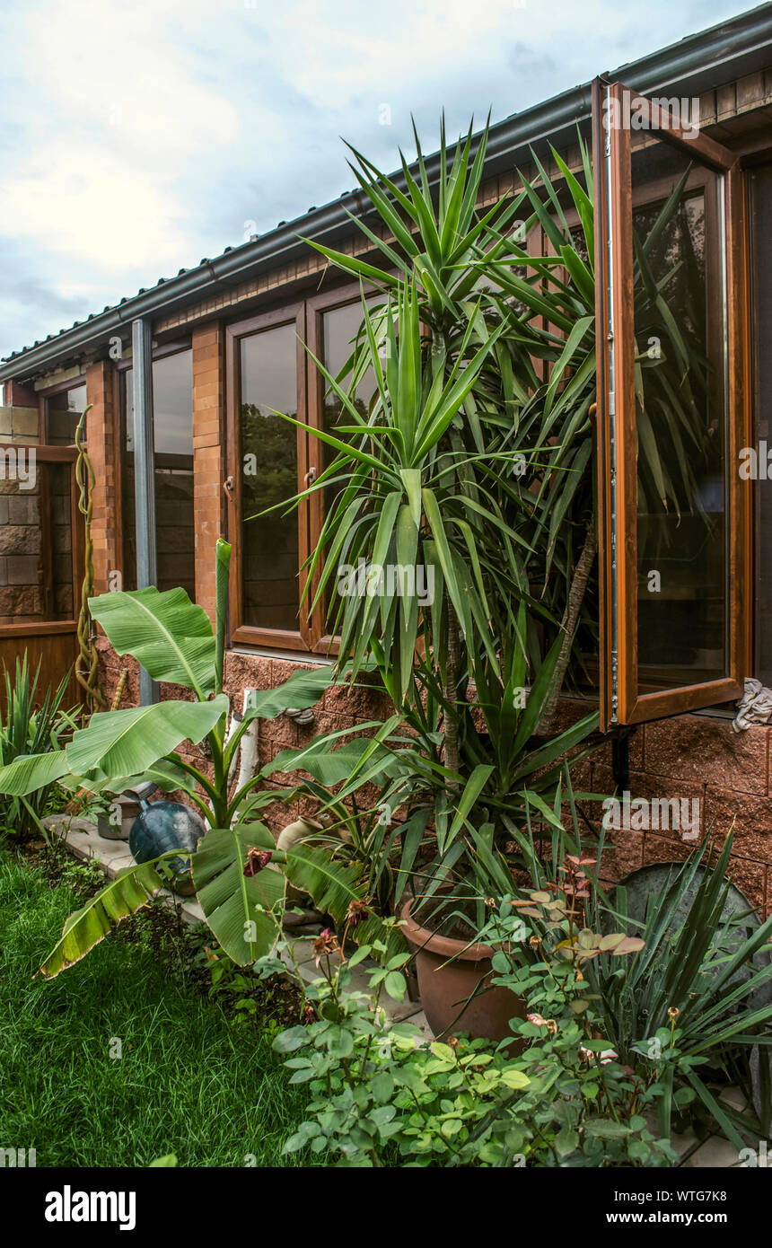 Accogliente angolo nel patio con una veranda della cucina estiva tra piante  in vaso e antichi utensili da cucina con brocche di argilla contro la  parete sotto Foto stock - Alamy