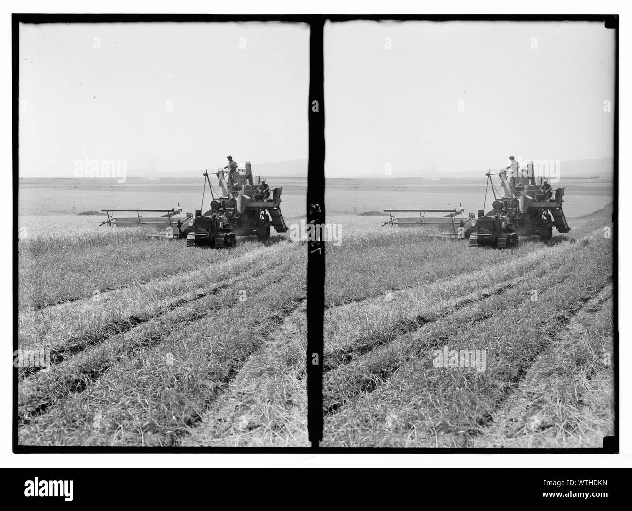 Mietitrice moderna sulla pianura di Esdraelon. Maggio 26, 1935 Foto Stock