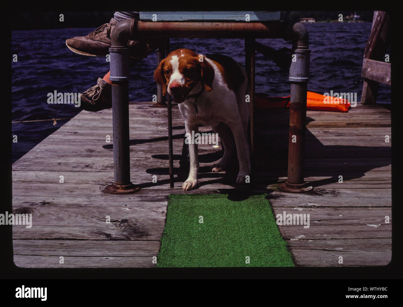 Molly, Scott, deposito, New York Foto Stock