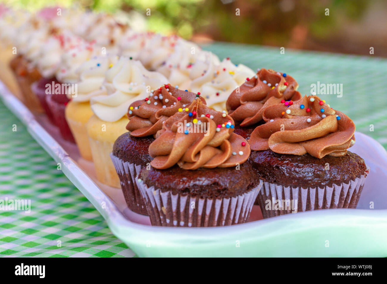 Tortine su un vassoio di vetro su un verde tovaglia a scacchi come visto da sopra. Multi-colore di tortine di velluto rosso, vaniglia, cioccolato e limone. Foto Stock