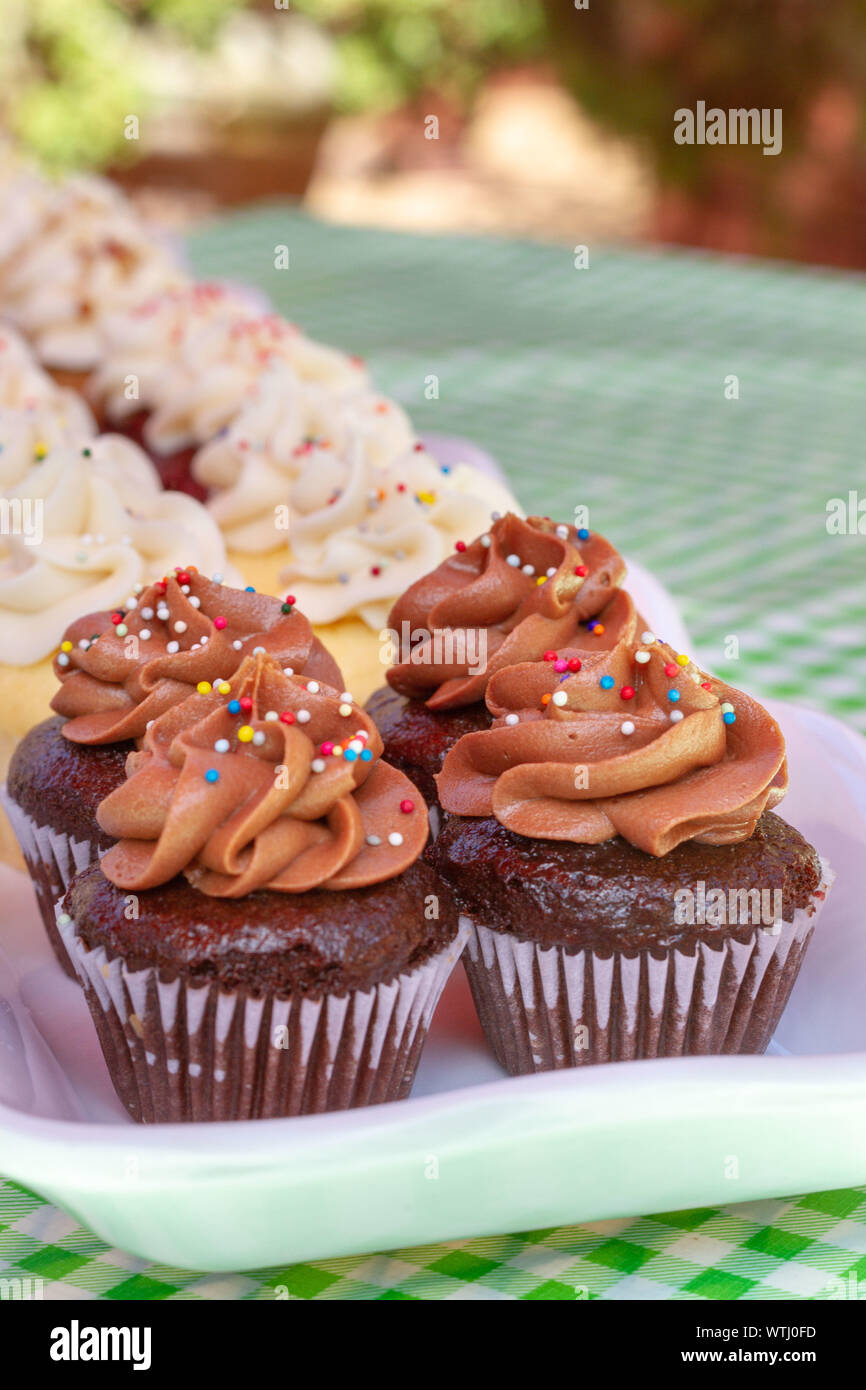Tortine su un vassoio di vetro su un verde tovaglia a scacchi come visto dal lato. Multi-colore di tortine di velluto rosso, vaniglia, cioccolato sapori. Foto Stock Tortine su un vassoio di vetro su un verde tovaglia a scacchi come visto dal lato. Multi-colore di tortine di velluto rosso, vaniglia, cioccolato sapori. Foto Stock