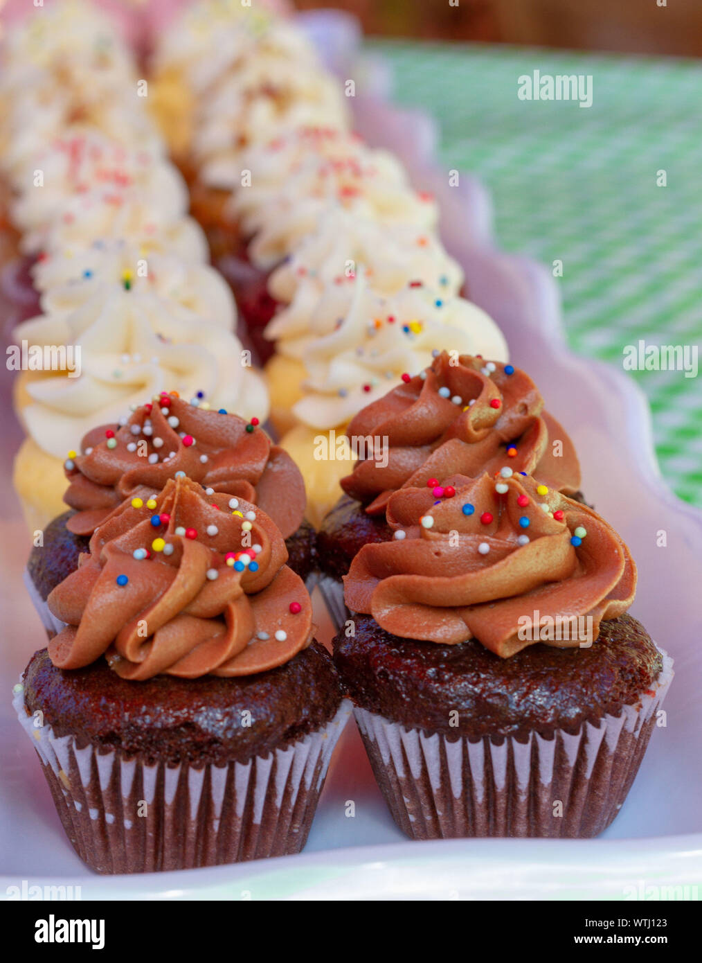 Tortine su un vassoio di vetro su un verde tovaglia a scacchi come visto dal lato. Multi-colore di tortine di velluto rosso, vaniglia, cioccolato sapori. Foto Stock Tortine su un vassoio di vetro su un verde tovaglia a scacchi come visto dal lato. Multi-colore di tortine di velluto rosso, vaniglia, cioccolato sapori. Foto Stock