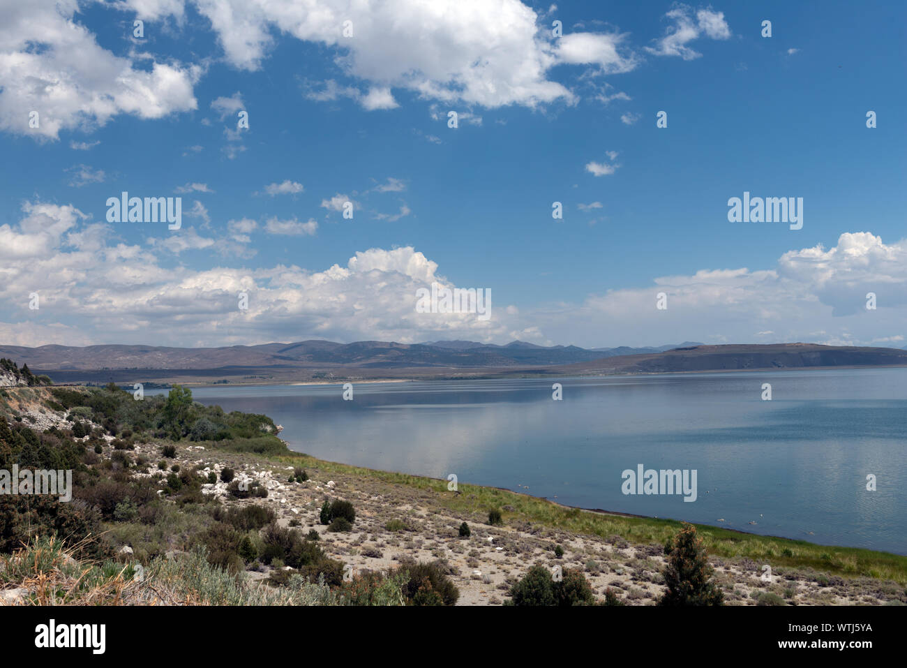 Mono Lake, una grande soluzione salina poco profondo lago di soda in Mono County, California Foto Stock