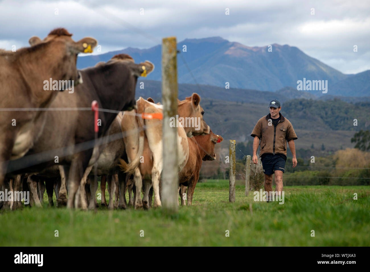 Foto di Tim Cuff - 13 Giugno 2019 - produttore di latte magazine: Foto Stock