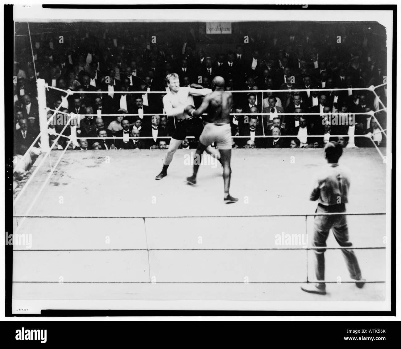 Moran isolati da sinistra a nervature Foto Stock