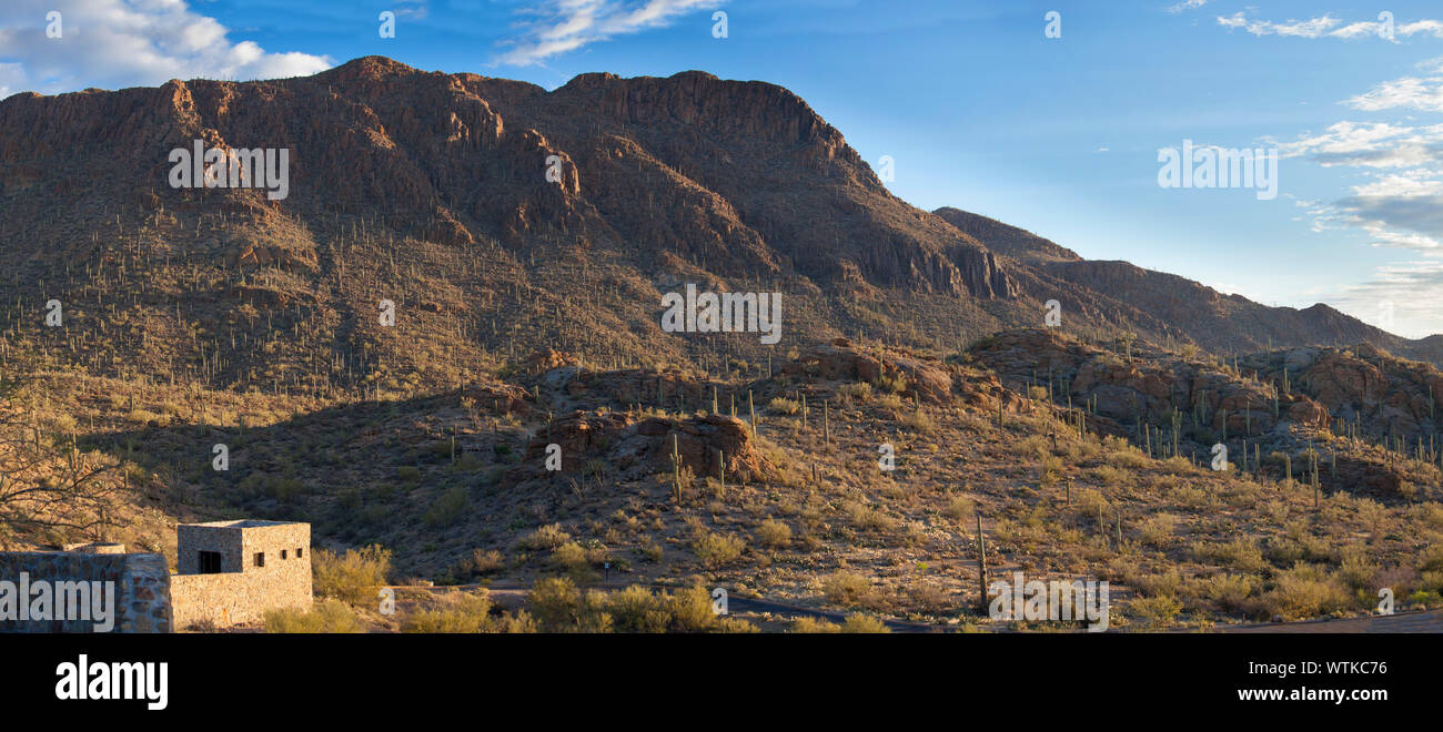 Ampio panorama del Parco nazionale del Saguaro all'alba Foto Stock