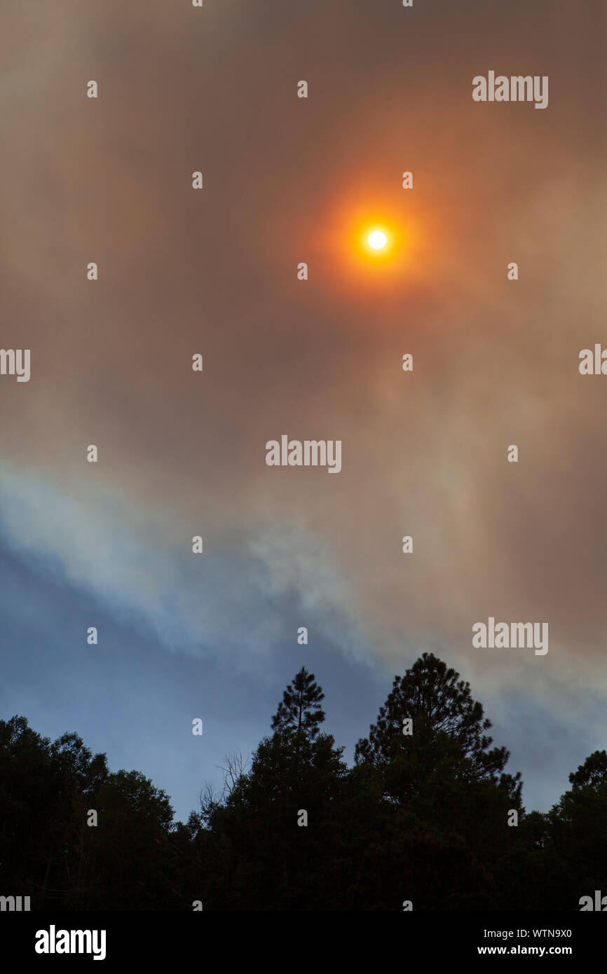 Fumo di un fuoco di foresta nel sud-ovest della Colorado blocca il sun. Foto Stock