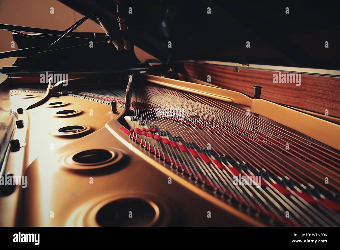 Corde per pianoforte immagini e fotografie stock ad alta risoluzione - Alamy