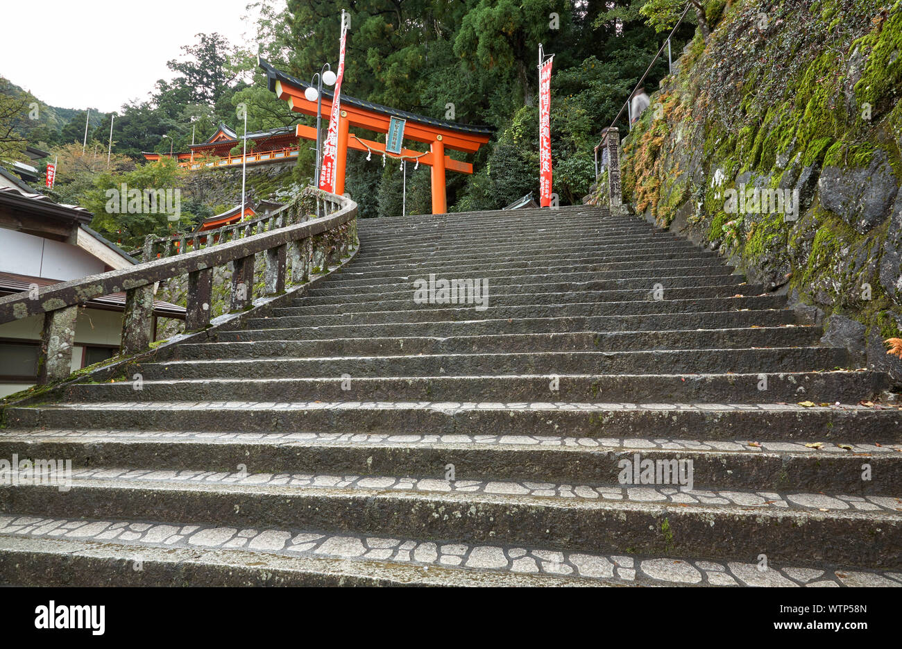 SHINGU, Giappone - 27 ottobre 2007: la scala di pietra che conduce fino a torii gate all'ingresso Kumano Hayatama Taisha sacrario scintoista. Wakayama. Foto Stock