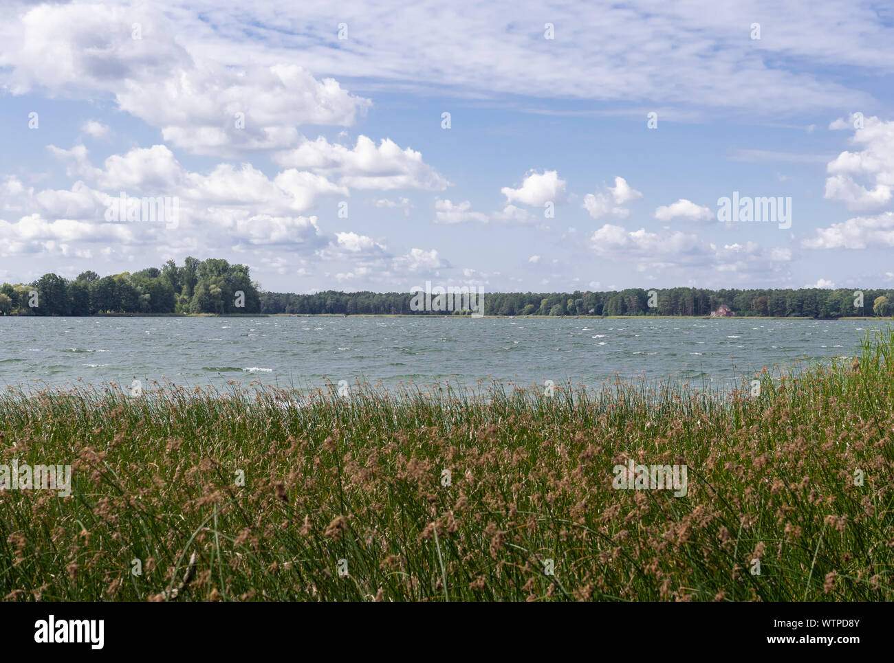 Wandlitz, Germania. Decimo Sep, 2019. Il lago di Wandlitz. Il lago, che copre una superficie di oltre 200 ettari, ha una profondità di acqua massima di 24 metri. Credito: Soeren Stache/dpa-Zentralbild/ZB/dpa/Alamy Live News Foto Stock