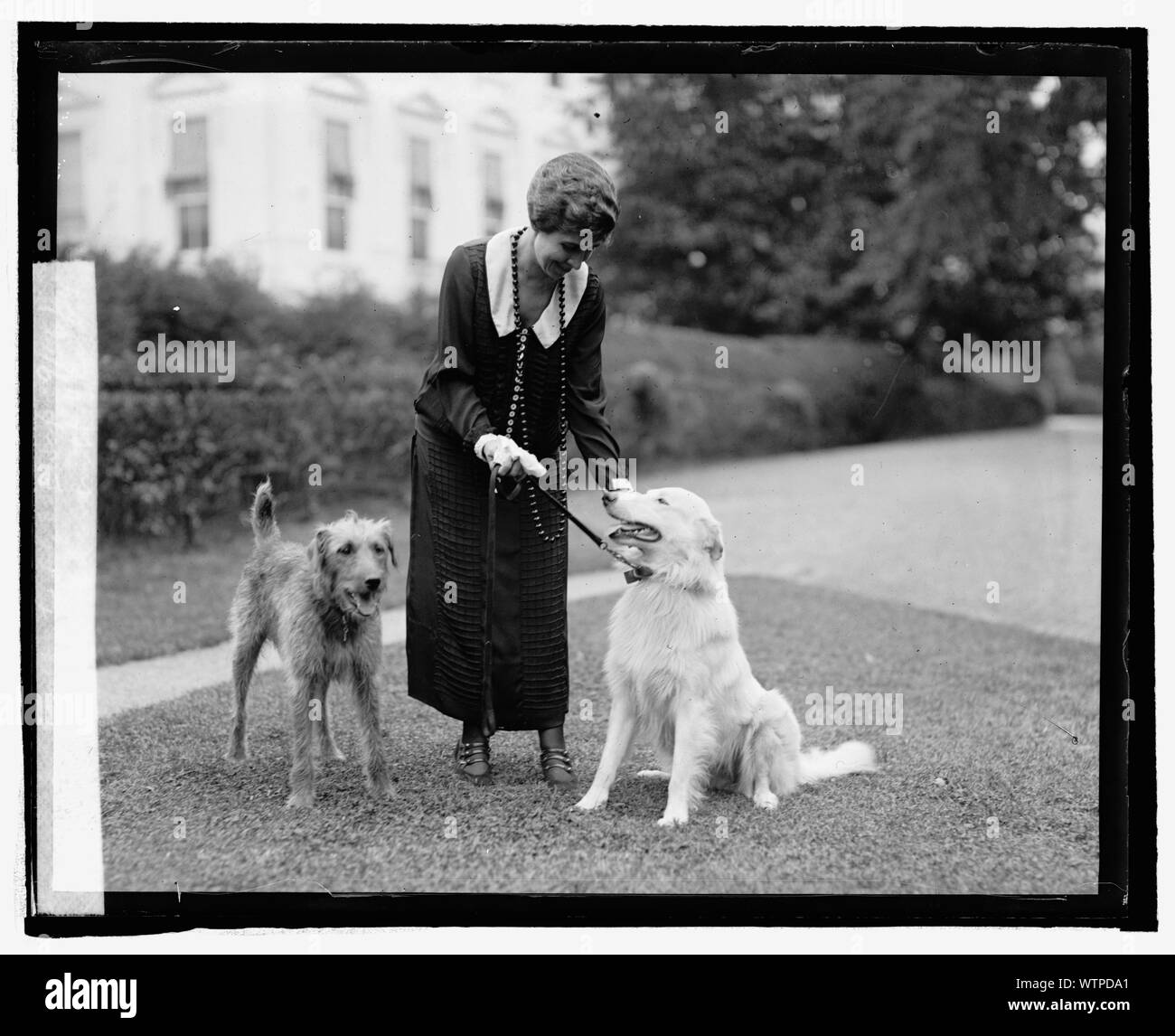 La sig.ra Coolidge con Rob Roy & ragazzino Buck, 9/26/24 Foto Stock