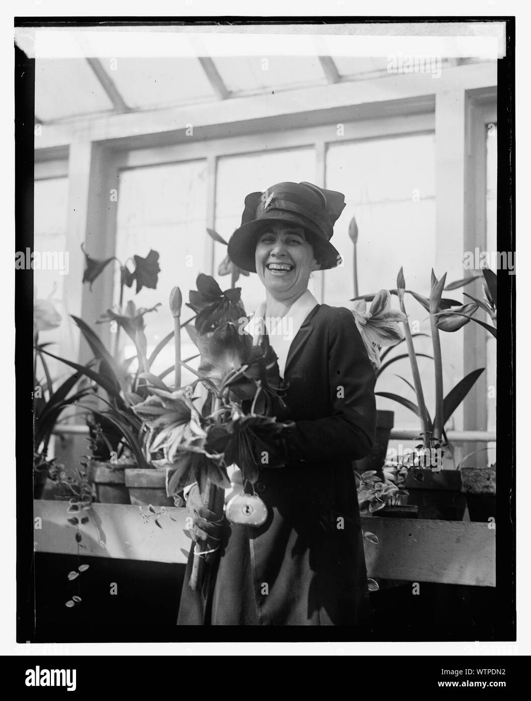 La sig.ra Coolidge, Amaryllis mostrano, 1924, 3/15/24 Foto Stock