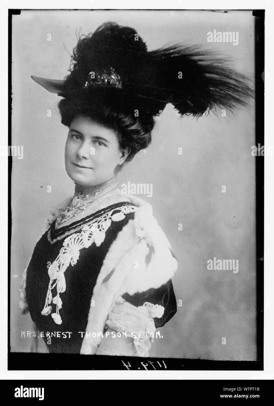 La sig.ra Ernest Thompson Seton Foto Stock