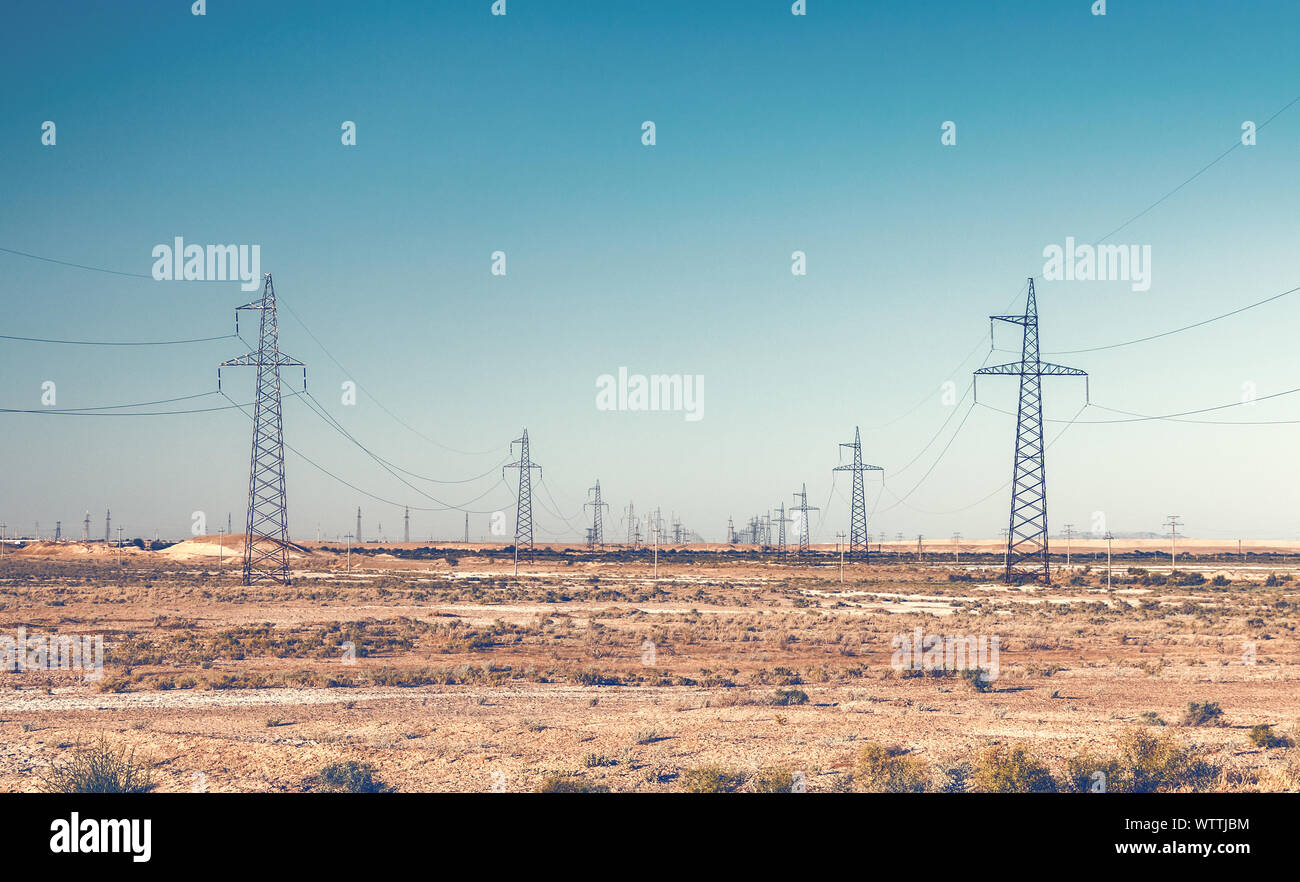 Righe della linea elettrica ad alta tensione tralicci nel deserto Foto Stock