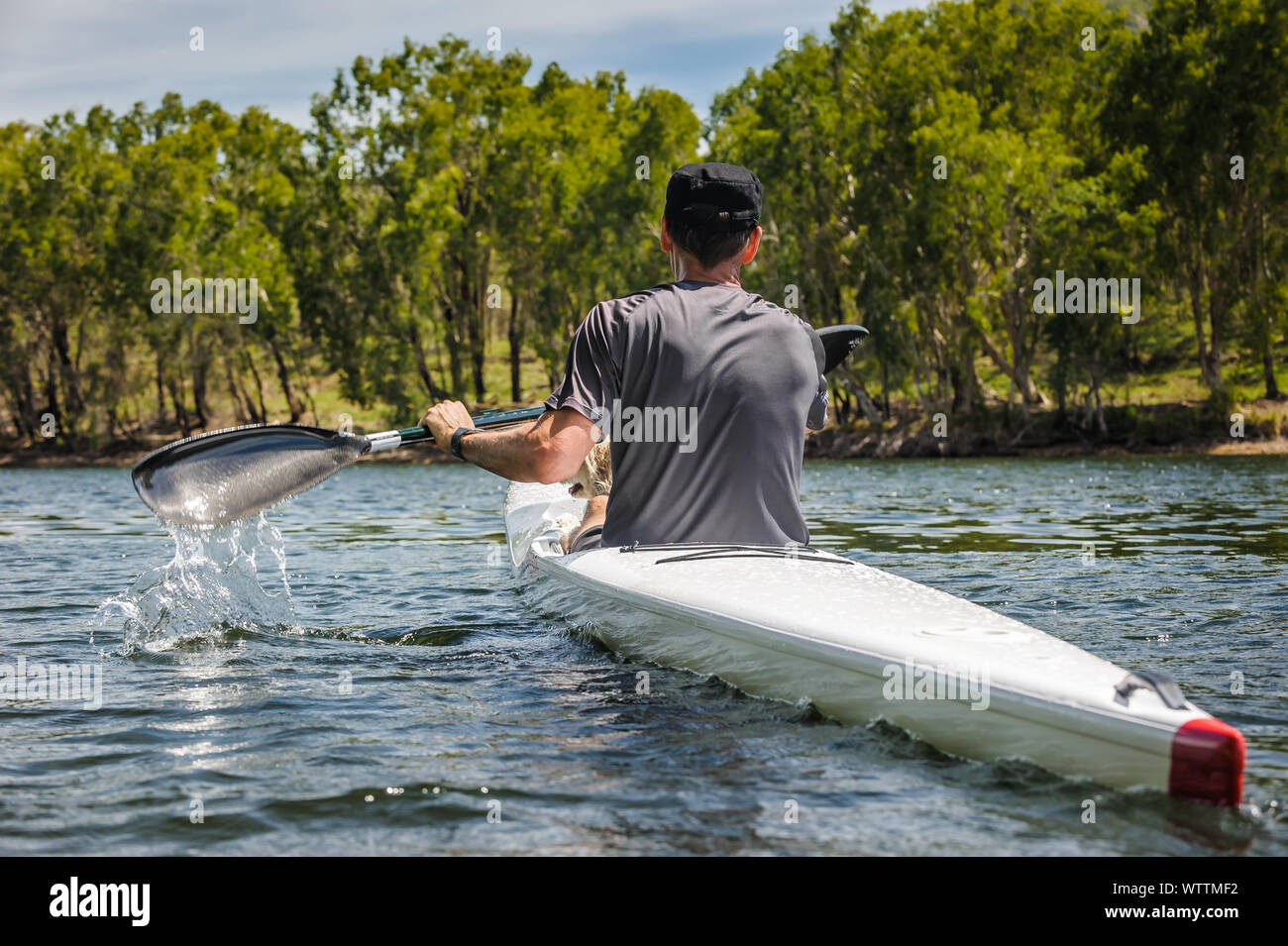 L uomo e il suo migliore amico paddling giù il fiume Ross in Townsville su uno sci. Foto Stock