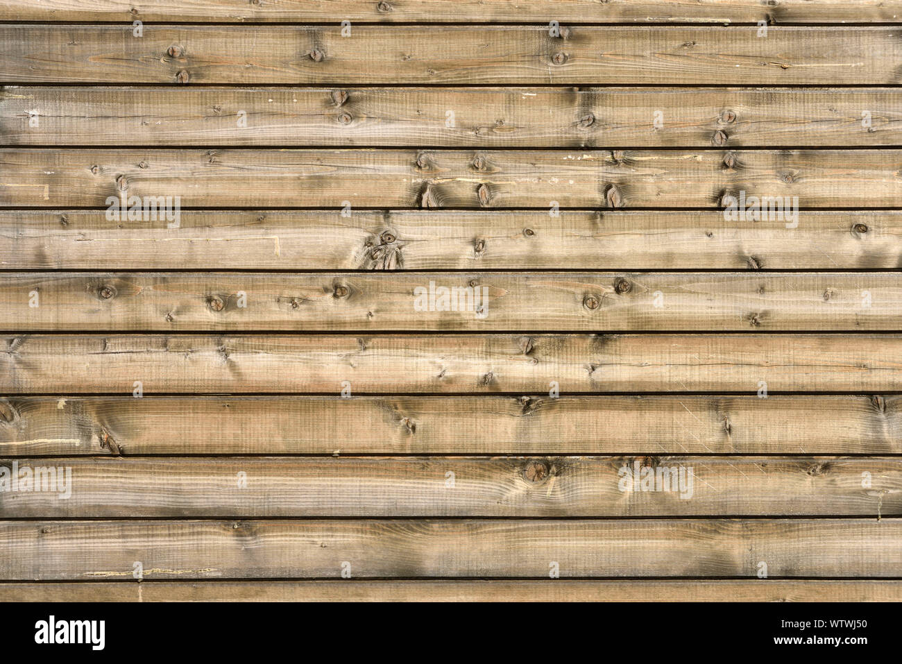 Asse di legno sfondo vuoto, legno texture. Foto Stock